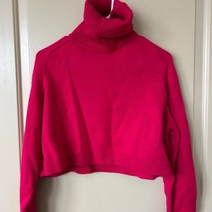 Zara High Collar Knit Sweater